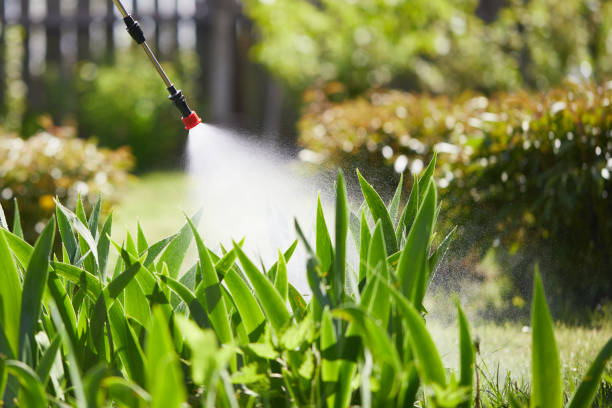 Tamper-Resistant Bait Stations for Rodents in Franklin Furnace
