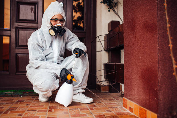 Attic and Crawl Space Rodent Treatment in Franklin Furnace