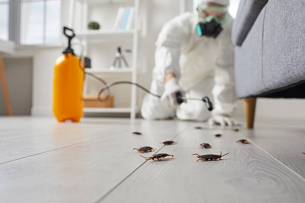 Commercial Rodent Management in Franklin Furnace